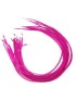 Rose puissant, tirant légèrement vers le violet
Plumes naturelles à fixer dans les cheveux comme des extensions
de 20 à 35 cm de