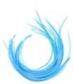 Bleu tendre uni - plumes pour cheveux