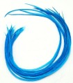 Bleu profond uni - plumes pour cheveux