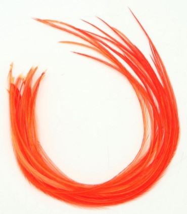 Orange très puissant, tirant sur le rouge
Plumes naturelles à fixer dans les cheveux comme des extensions
de 20 à 35 cm de long,