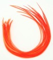 Orange uni - plumes pour cheveux