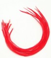 Rouge pur uni - plumes pour cheveux