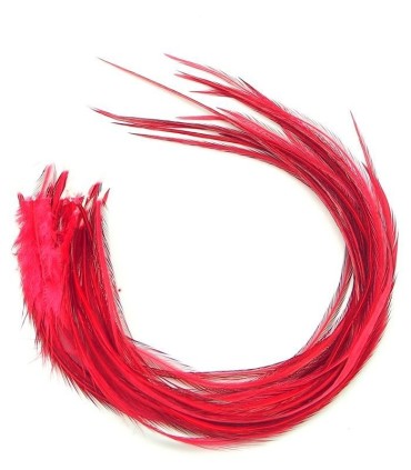 Rouge cerise, donc assez profond, glamour comme une touche de rouge à lèvres
Plumes naturelles à fixer dans les cheveux comme de