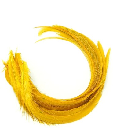 Un brun aux reflets dorés, qui pourrait s'appeler miel-moutarde
Plumes naturelles à fixer dans les cheveux comme des extensions