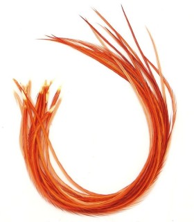 Cannelle uni - plumes fines pour cheveux