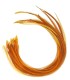 Coloris chaud, fauve, à mi-chemin entre Cannelle et Mordoré
Plumes naturelles à fixer dans les cheveux comme des extensions
de 2