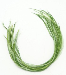 Olive uni - plumes fines pour cheveux