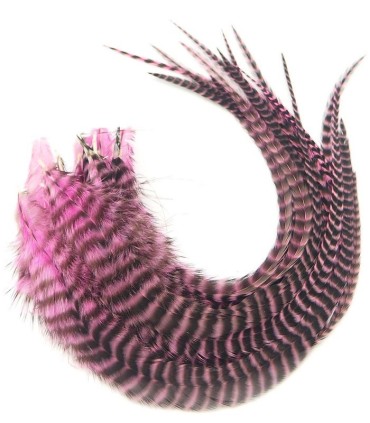 Rose douceur, clair
Plumes naturelles à fixer dans les cheveux comme extensions
de 20 à 35 cm de long
Choisissez le nombre de pl