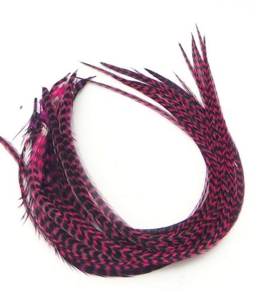 Rose dynamique, souvent le plus apprécié
Plumes naturelles à fixer dans les cheveux comme des extensions
de 20 à 35 cm de long, 