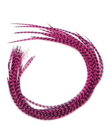 Rose dynamique, souvent le plus apprécié
Plumes naturelles à fixer dans les cheveux comme des extensions
de 20 à 35 cm de long, 