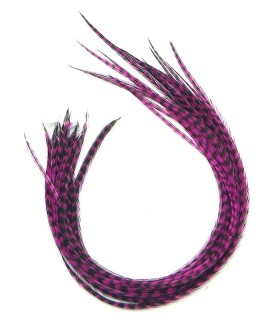 Fushia rayé - plumes fines pour cheveux