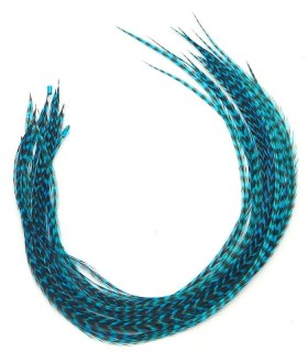 Bleu électrique rayé - plumes fines pour cheveux