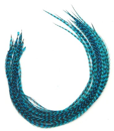 Bleu très dynamique, qu'on pourrait appeler turquoise flashy
Plumes naturelles à fixer dans les cheveux comme des extensions
de 
