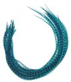 Bleu électrique rayé - plumes pour cheveux