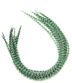 Vert aquatique rayé - plumes fines pour cheveux