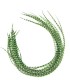 Vert très dynamique, quasiment fluo
Plumes naturelles à fixer dans les cheveux comme des extensions
de 20 à 35 cm de long, la ma