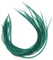 Vert velours rayé - plumes pour cheveux