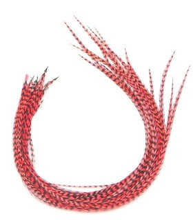 Corail fluo rayé - plumes fines pour cheveux