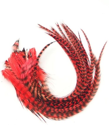 Rouge intense, sans compromis
Plumes naturelles à fixer dans les cheveux comme des extensions
de 20 à 35 cm de long
Choisissez l