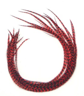Rouge pur rayé - plumes fines pour cheveux