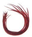 Rouge pur rayé - plumes pour cheveux