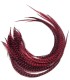 Cerise rayé - plumes épaisses pour cheveux