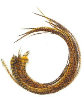 Bronze rayé - plumes fines pour cheveux