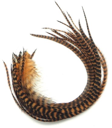 Cannelle rayé - plumes fines pour cheveux