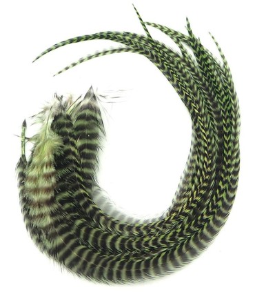 Vert assez foncé, qui prend des reflets émeraudes au Soleil
Plumes naturelles à fixer dans les cheveux comme des extensions
de 2