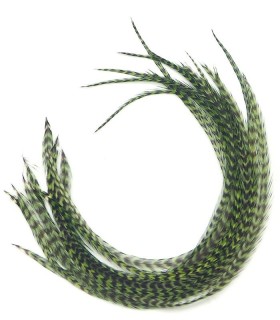Olive rayé - plumes fines pour cheveux