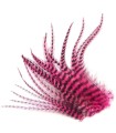 Rose flashy rayé - Plumes courtes pour cheveux