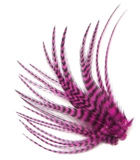 Fushia rayé - Plumes courtes pour cheveux