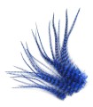 Indigo rayé - Plumes courtes pour cheveux