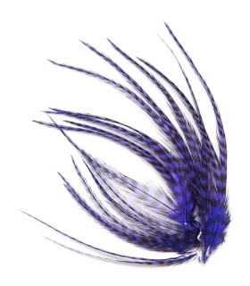 Violet profond rayé - Plumes courtes pour cheveux