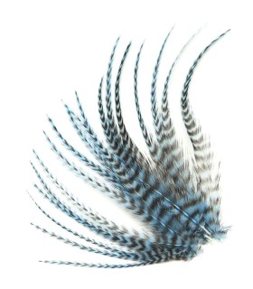 Bleu tendre rayé - Plumes courtes pour cheveux