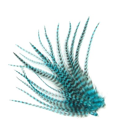 Bleu très dynamique, qu'on pourrait appeler turquoise flashy
Plumes naturelles à fixer dans les cheveux comme extensions
de long