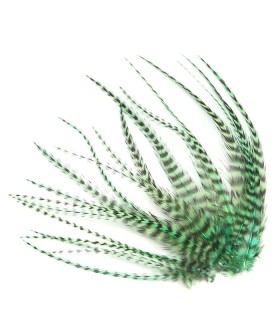 Vert aquatique rayé - Plumes courtes pour cheveux