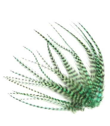 Vert doux, pastel
Plumes naturelles à fixer dans les cheveux comme extensions
de longueurs comprises entre 8 et 18 cm, la majeur