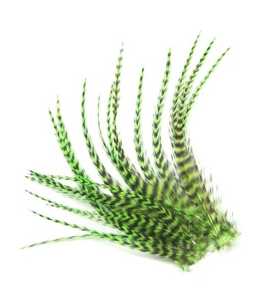 Vert très dynamique, quasiment fluo
Plumes naturelles à fixer dans les cheveux comme extensions
de longueurs comprises entre 8 e