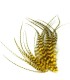Jaune pur, lumineux et dynamique
Plumes naturelles à fixer dans les cheveux comme extensions
de longueurs comprises entre 8 et 1