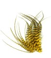 Jaune citron rayé - Plumes courtes pour cheveux