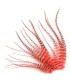 Orange rosé, très dynamique, presque fluo
Plumes naturelles à fixer dans les cheveux comme extensions
de longueurs comprises ent