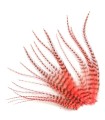 Corail fluo rayé - Plumes courtes pour cheveux