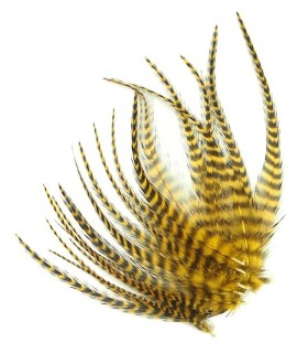 Mordoré rayé - Plumes courtes pour cheveux