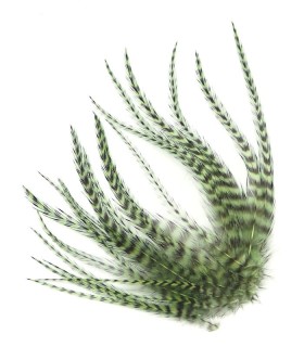 Olive rayé - Plumes courtes pour cheveux
