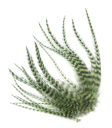 Vert assez foncé, qui prend des reflets émeraudes au Soleil
Plumes naturelles à fixer dans les cheveux comme extensions
de longu