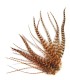 Un brun chaud aux reflets rouge
Plumes naturelles à fixer dans les cheveux comme extensions
de longueurs comprises entre 8 et 18