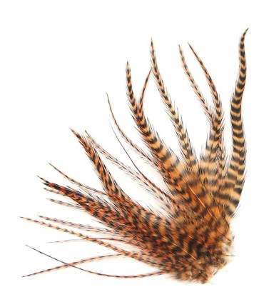 Un brun chaud aux reflets rouge
Plumes naturelles à fixer dans les cheveux comme extensions
de longueurs comprises entre 8 et 18