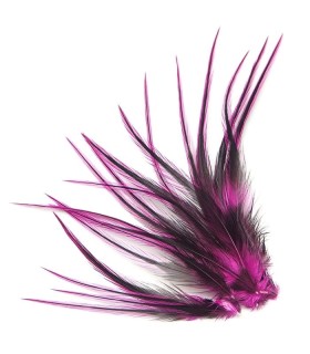 Fushia ligne - Plumes courtes pour cheveux