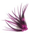 Fushia ligne - Plumes courtes pour cheveux